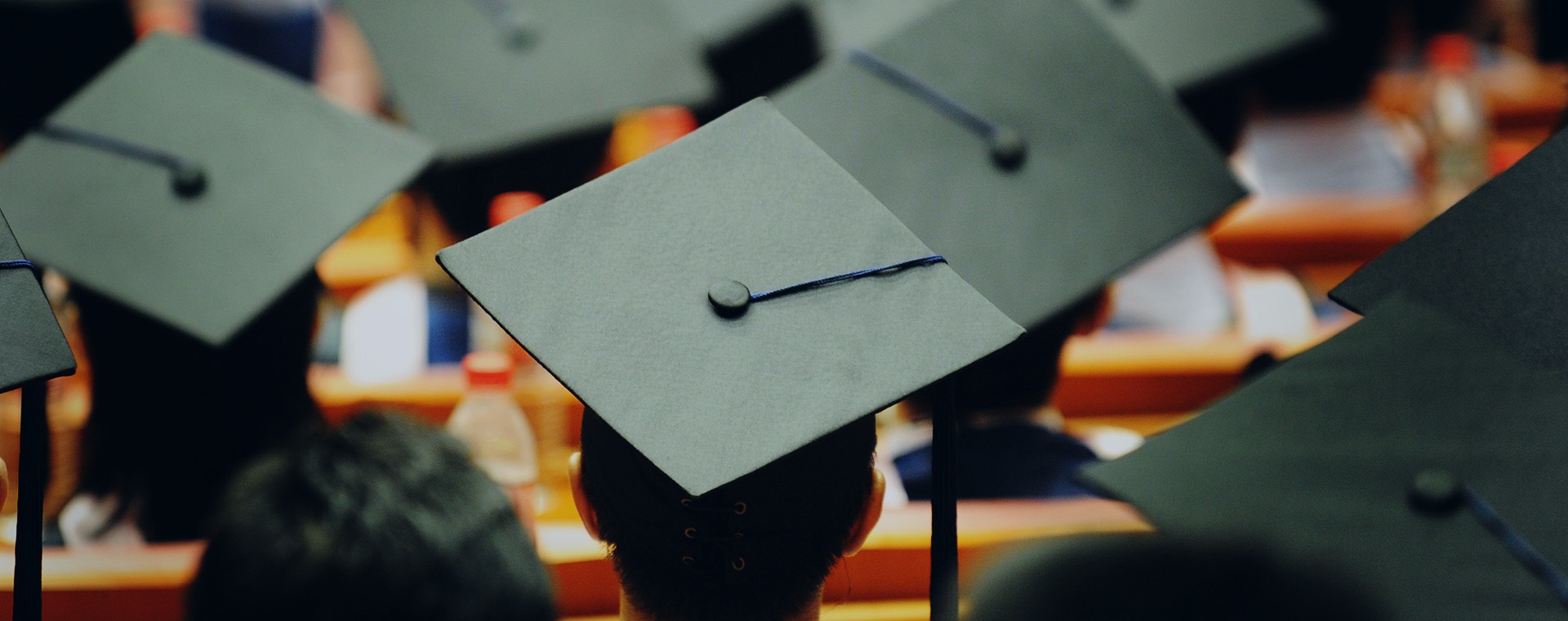 University of Hormozgan